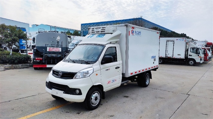 福田祥菱V2小型冷藏车（后双胎）